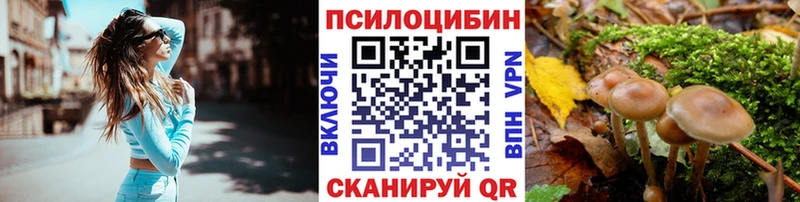 Галлюциногенные грибы Psilocybe  Купить закладки  Пыть-Ях 